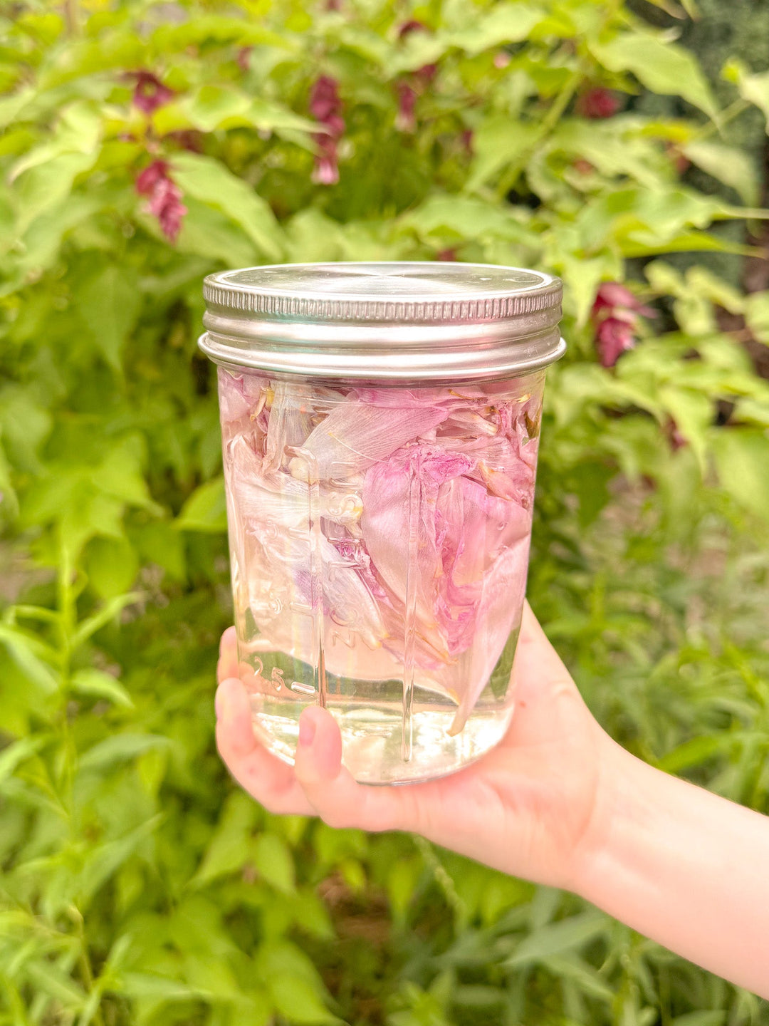 child hand holding a jar of water and flower petals